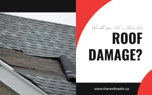 roof damage