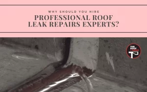 roof leak repairs experts
