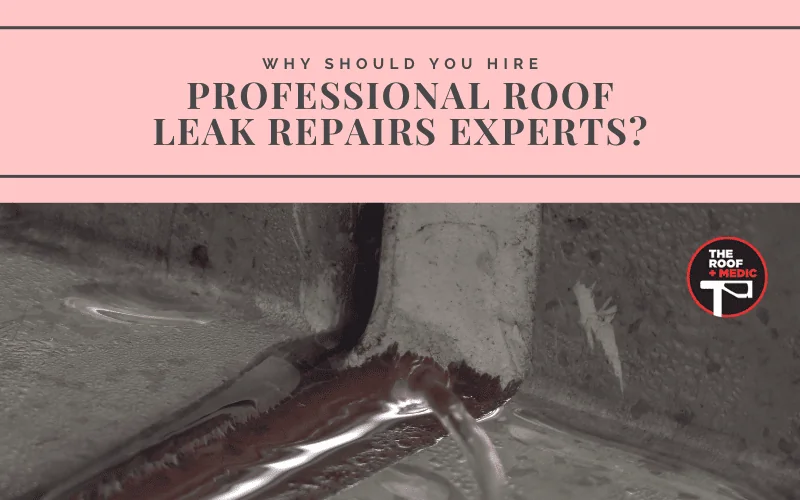 Why Should You Hire Professional Roof Leak Repairs Experts?